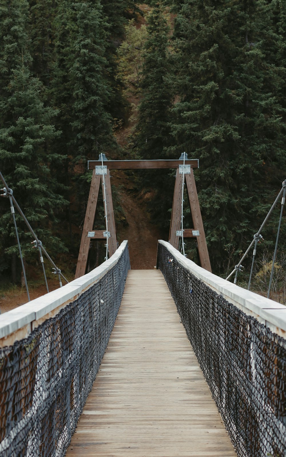 brown wooden bridge in forest during daytime