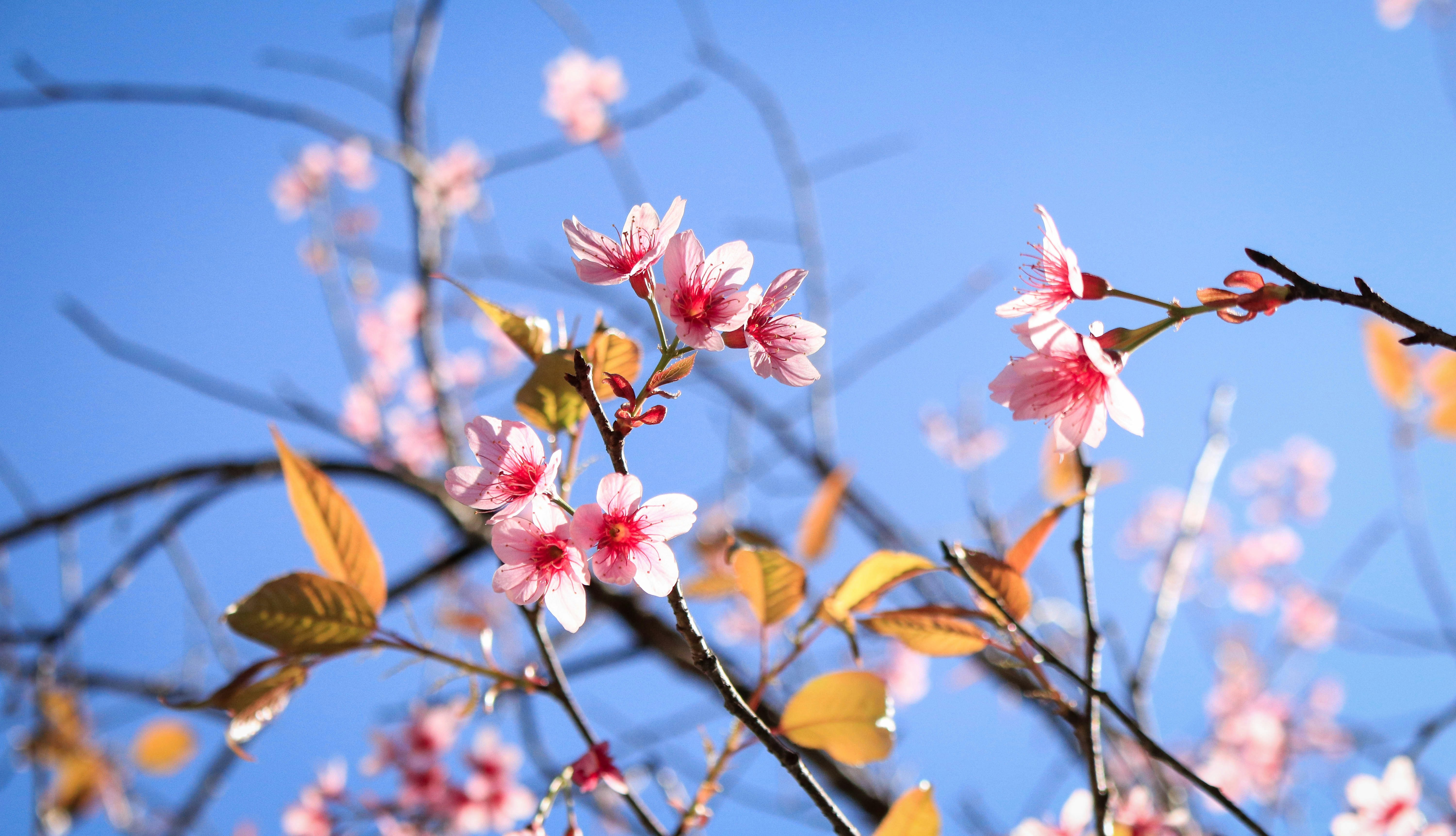 Photo by longnguyen9x