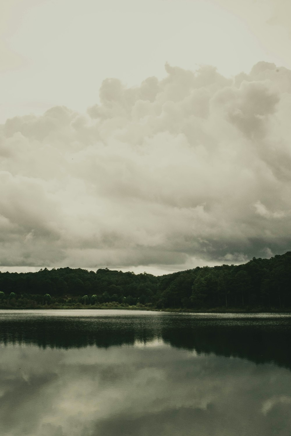 green trees beside lake under white clouds