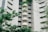 A high-rise apartment building with a modern facade featuring tiled exteriors and numerous balconies. The structure is partially obscured by lush, green trees and foliage in the foreground, adding a natural element to the urban scene.