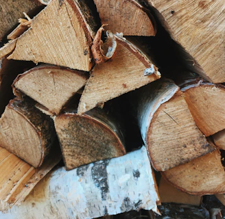 brown and white wooden log