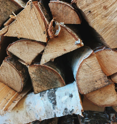brown and white wooden log