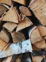 brown and white wooden log