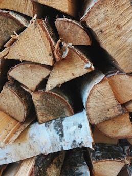 brown and white wooden log