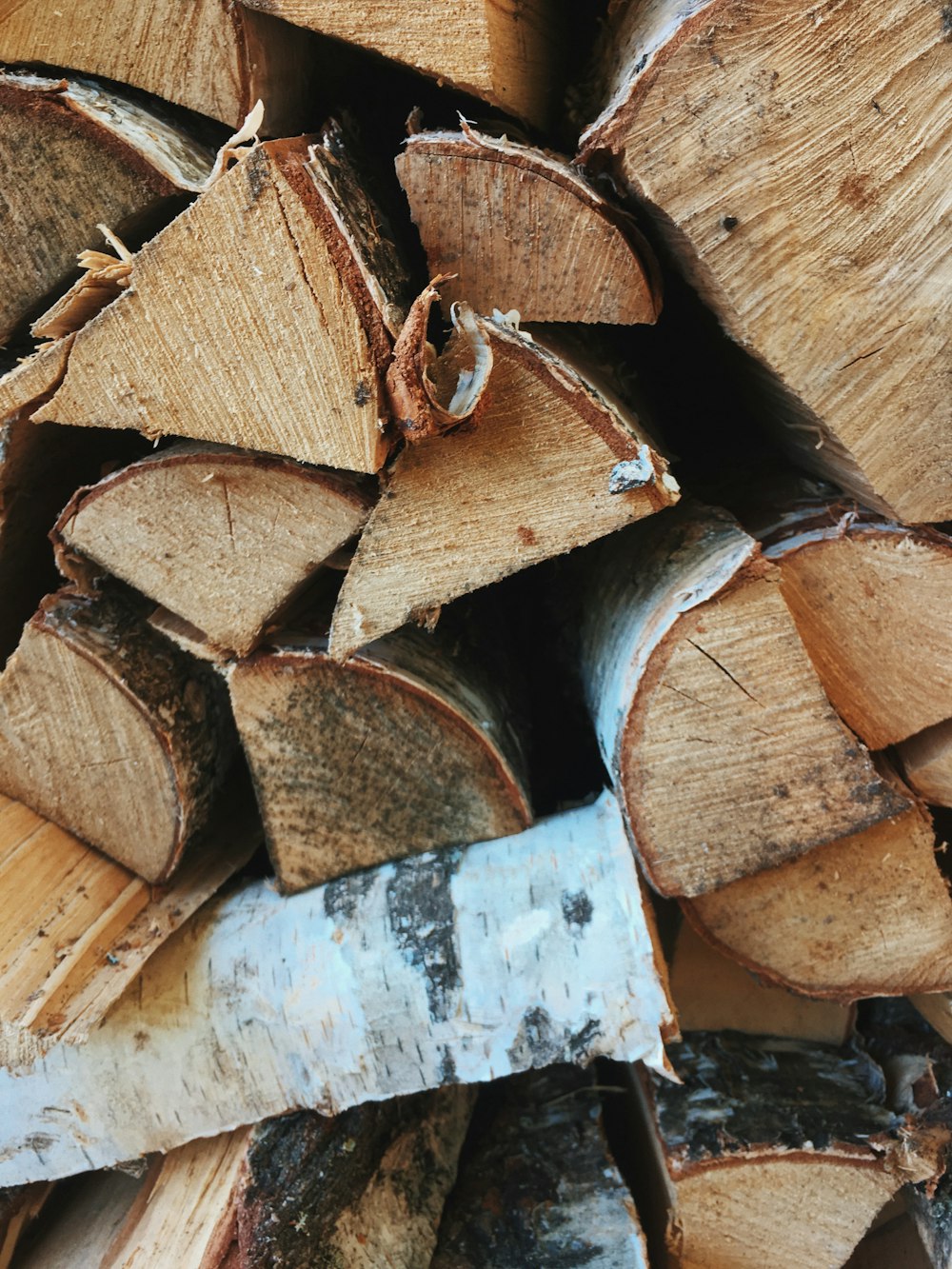 brown and white wooden log