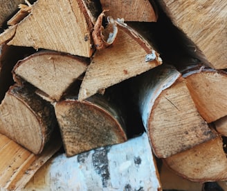 brown and white wooden log