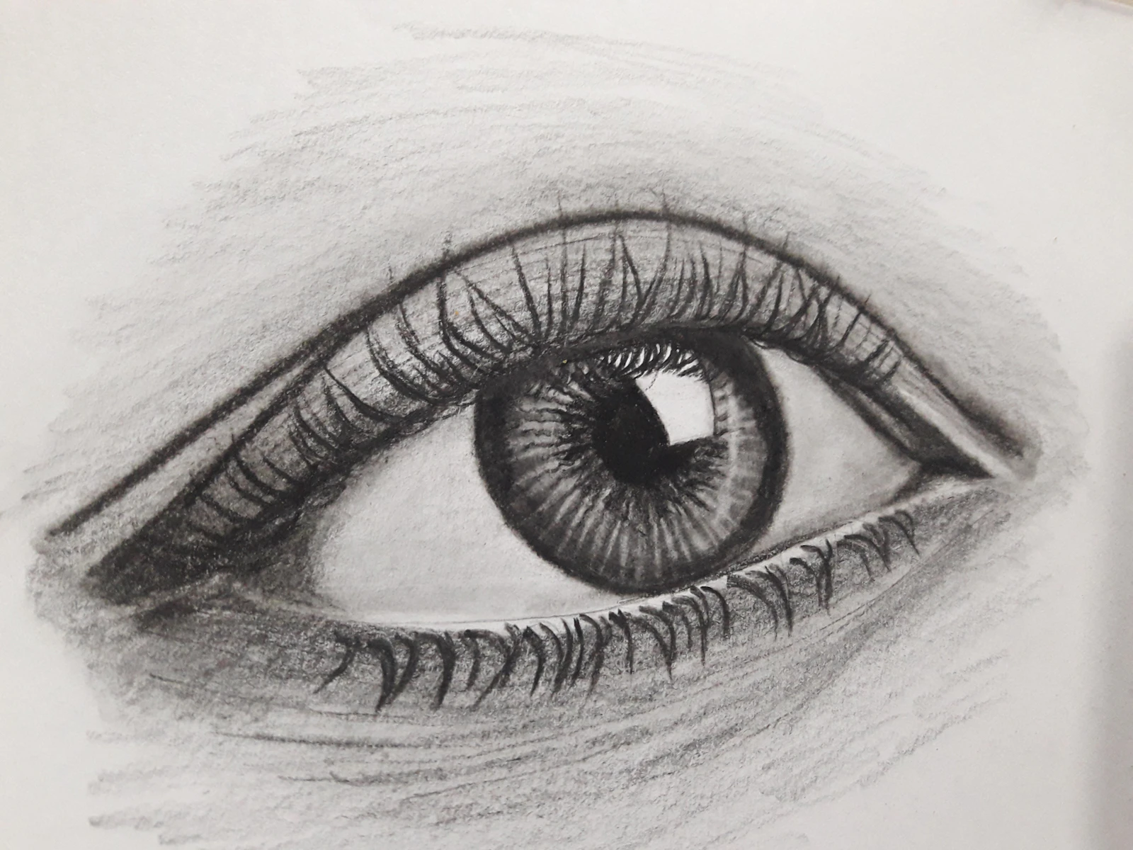 Fine graphite drawing study, detail