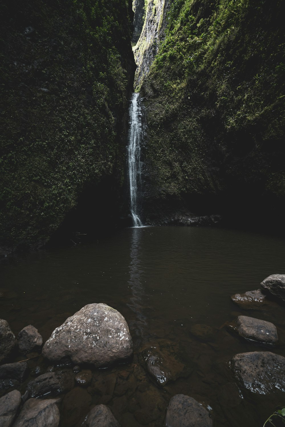 waterfalls in the middle of the forest