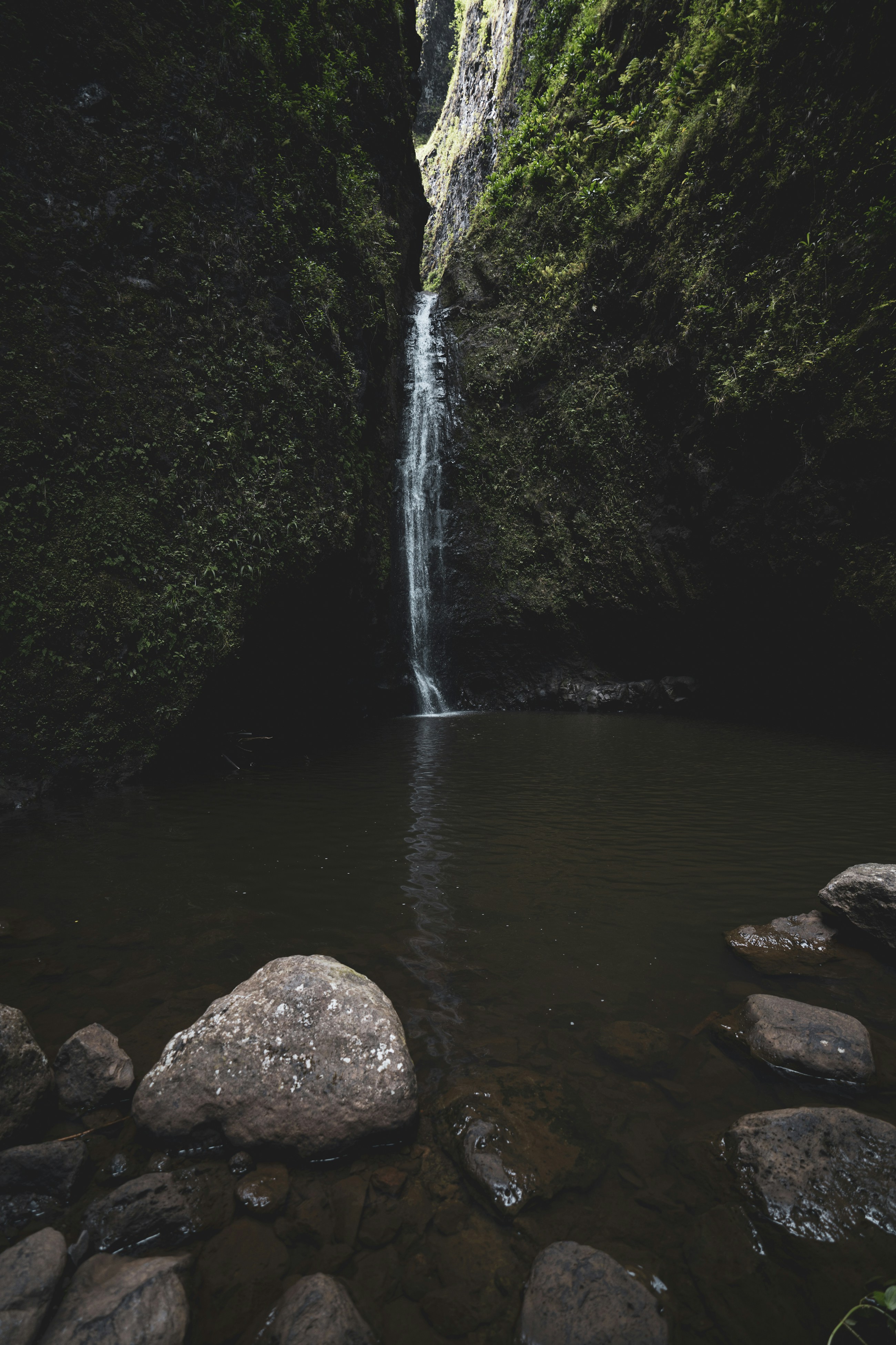 waterfalls-in-the-middle-of-the-forest