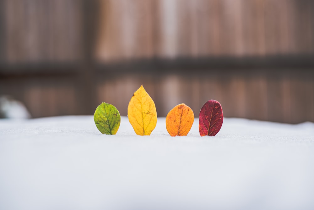 fruits jaunes et oranges sur table blanche