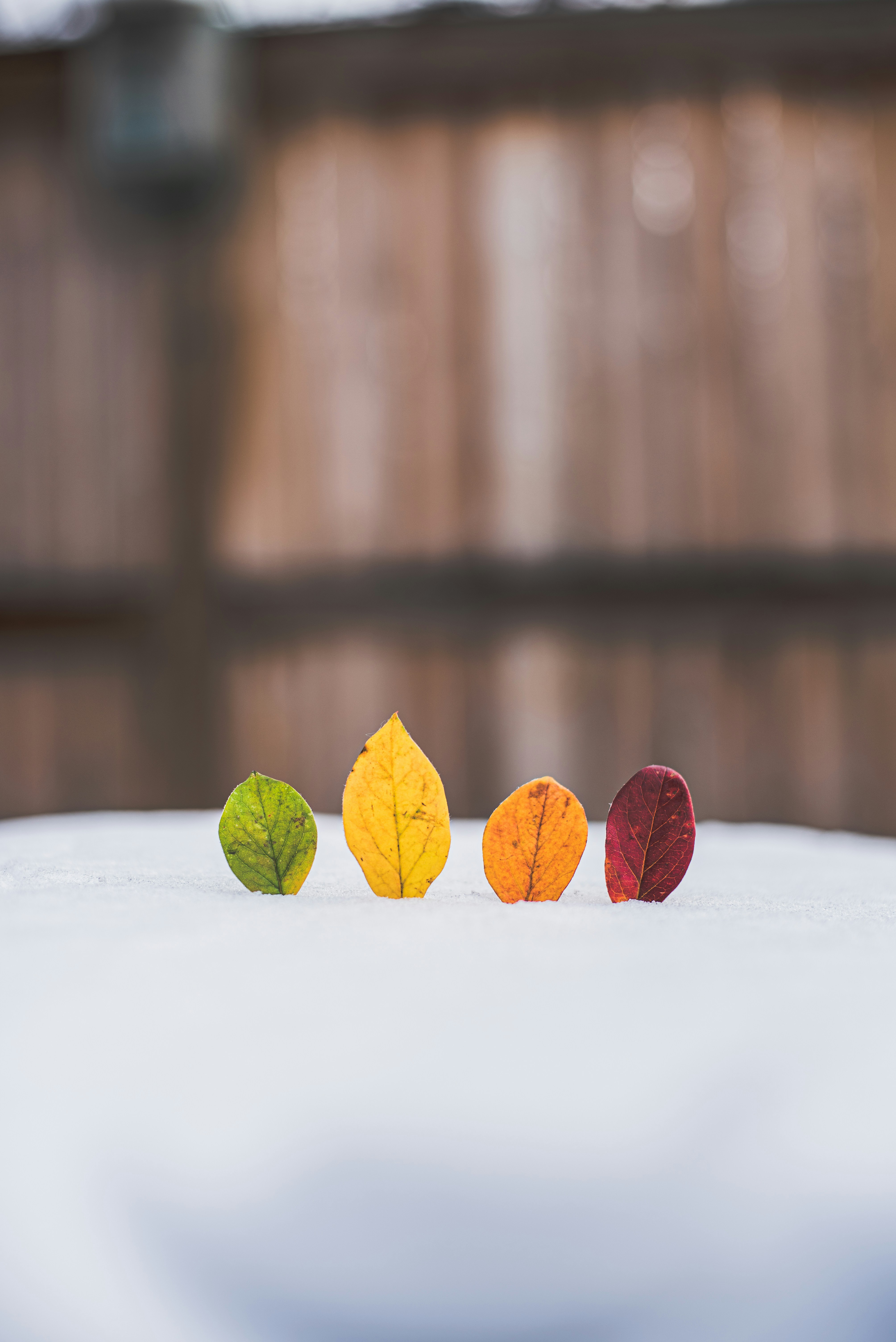 The Alchemy of Ingredients: Crafting Flavor Compatibility Now