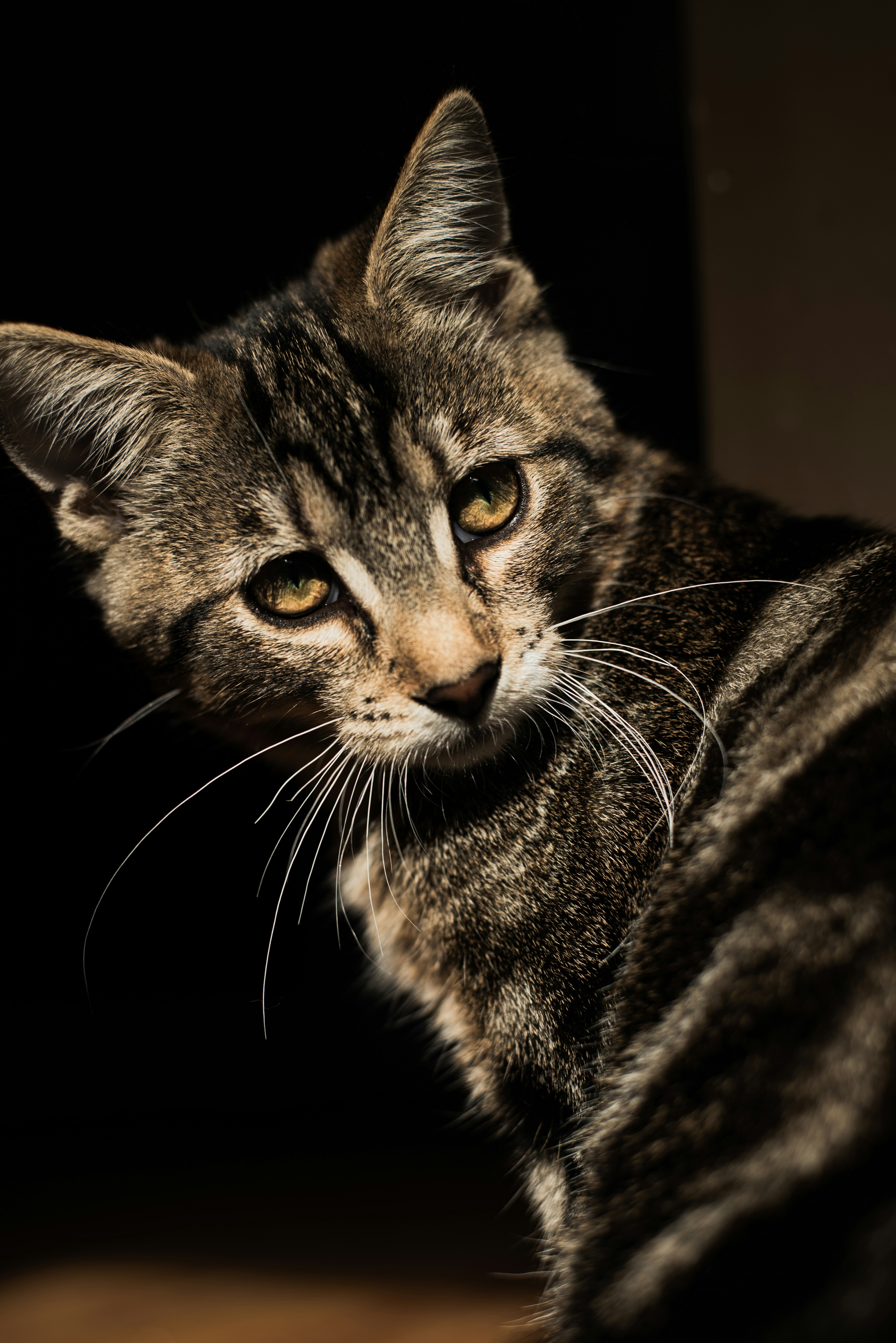 Photo by ryunosuke_kikuno