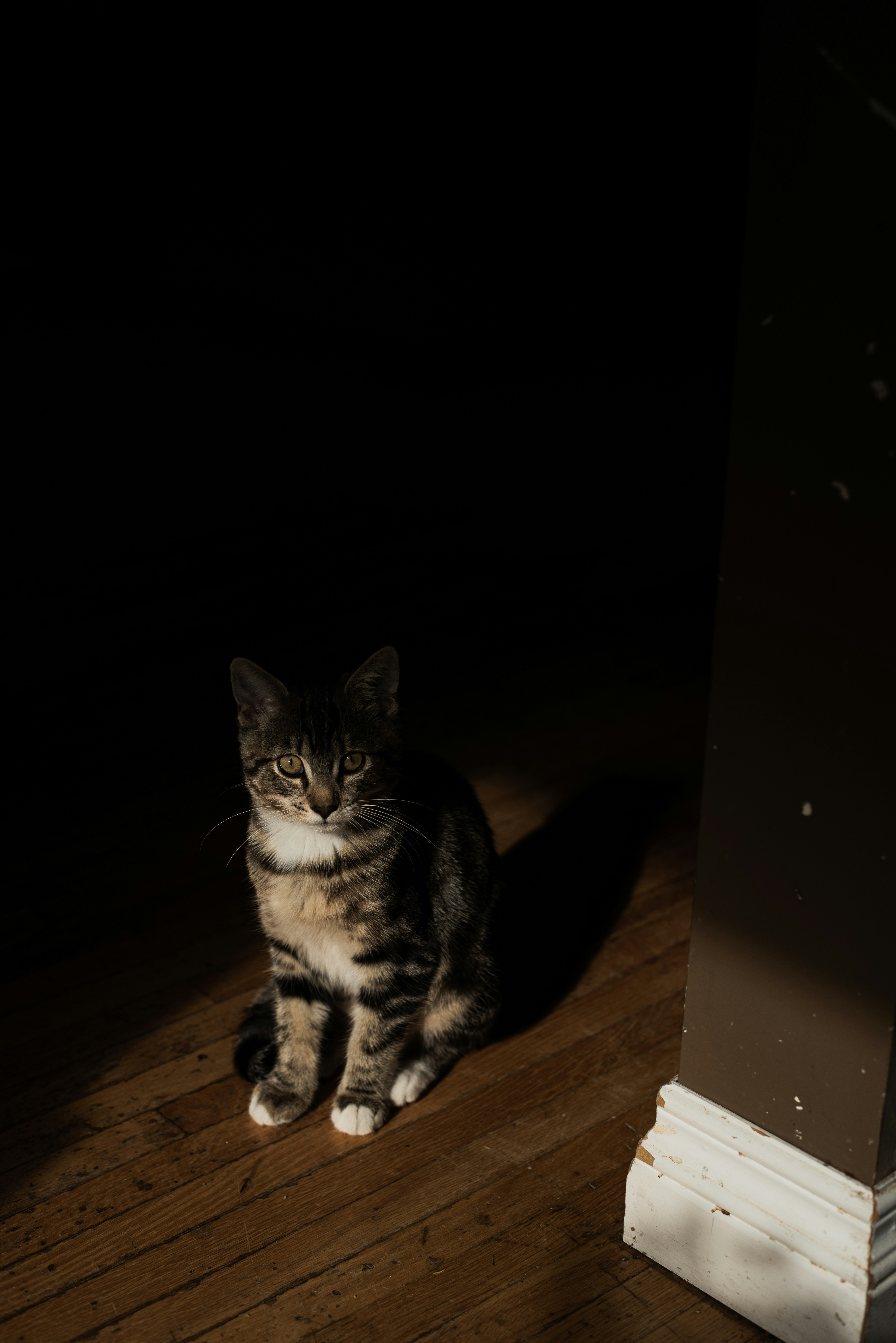 Photo by ryunosuke_kikuno