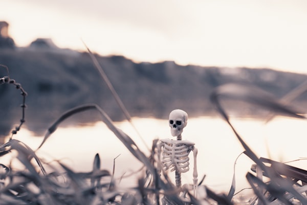 a model skeleton among blades of grass with a lake in the background …