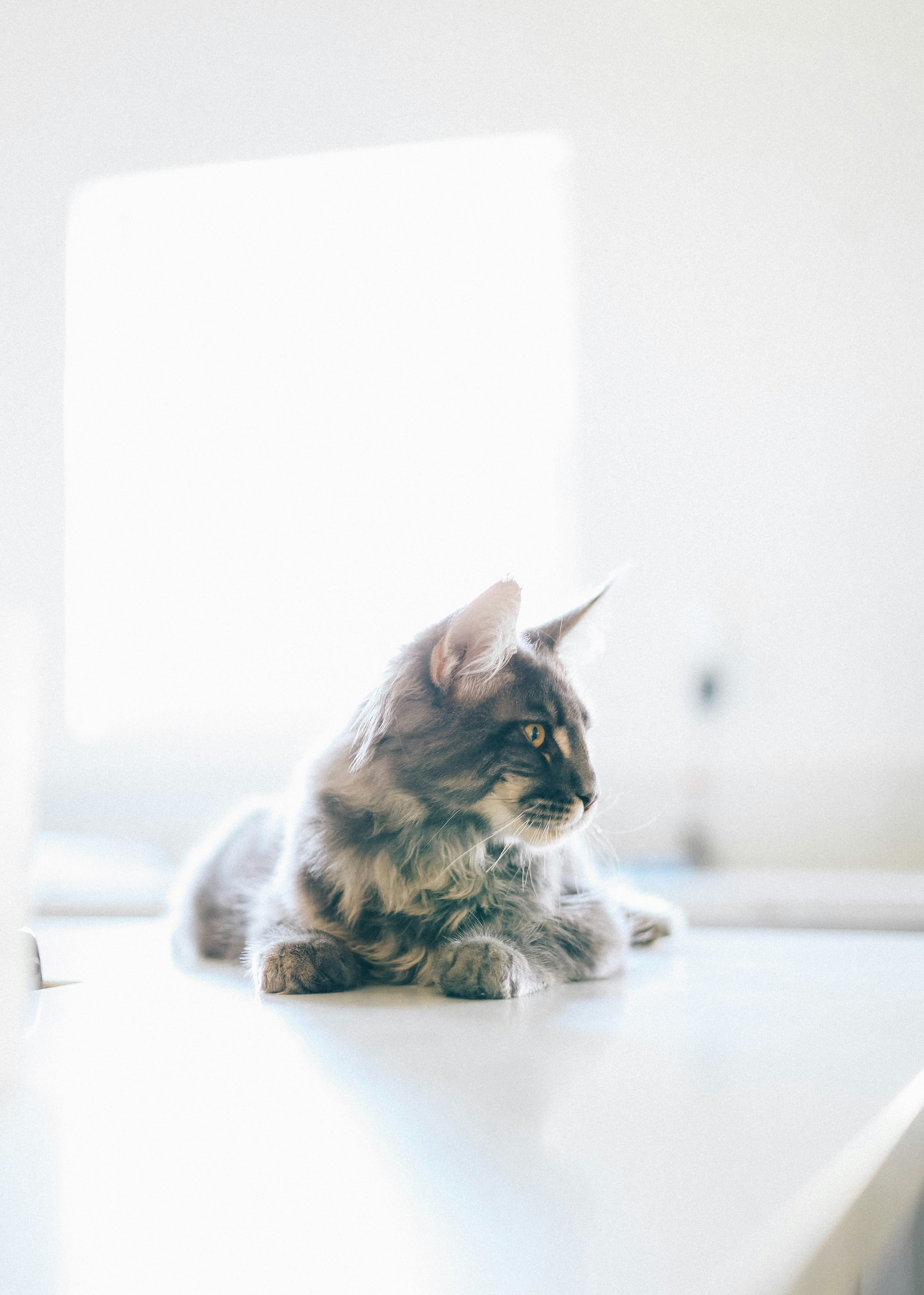 Photo by kevin_turcios