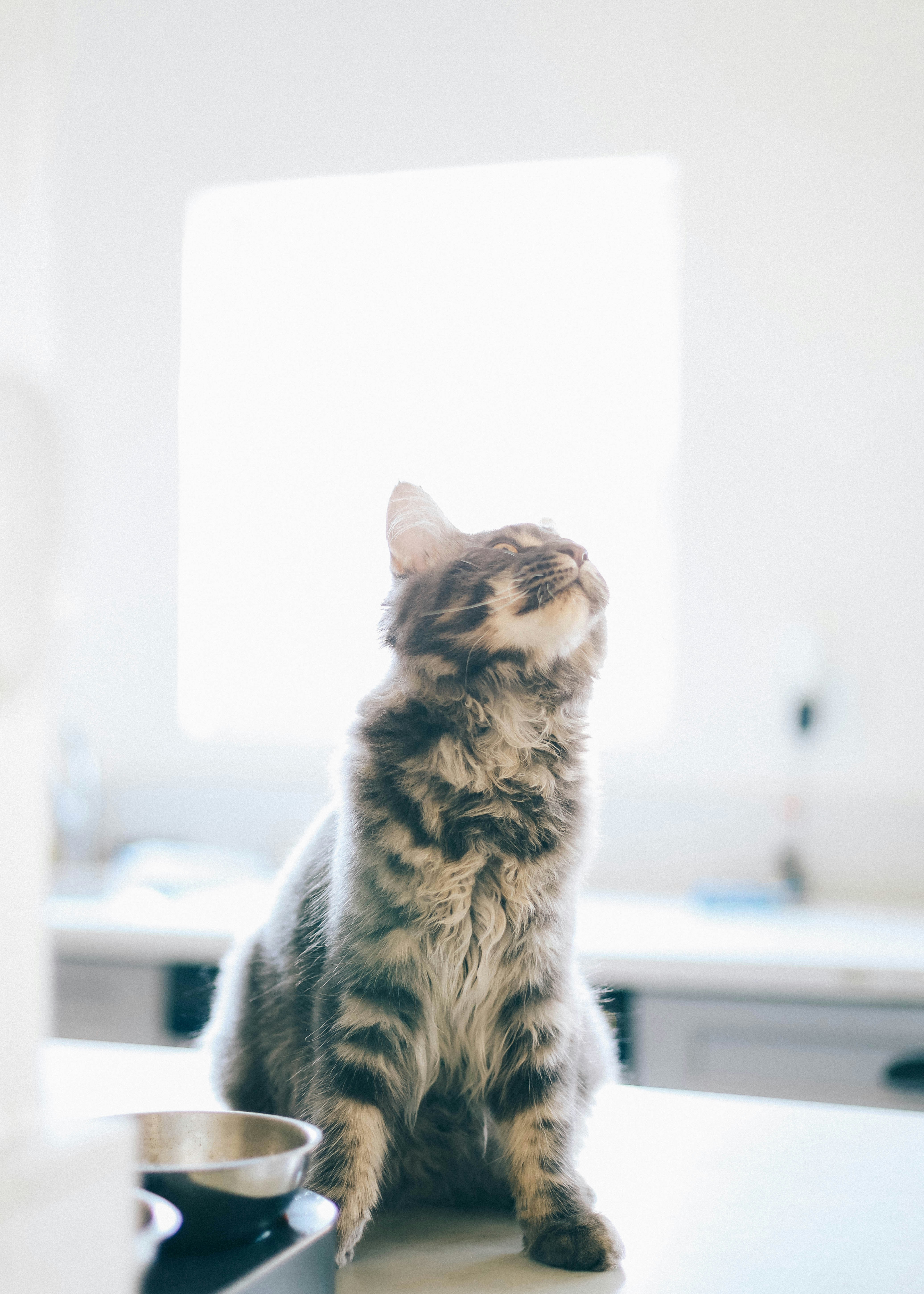 Photo by kevin_turcios