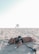 A brown service dog is lying peacefully on a sandy beach, wearing a harness labeled 'Service Dog'. The background features a blurred lifeguard tower under a bright, clear sky.
