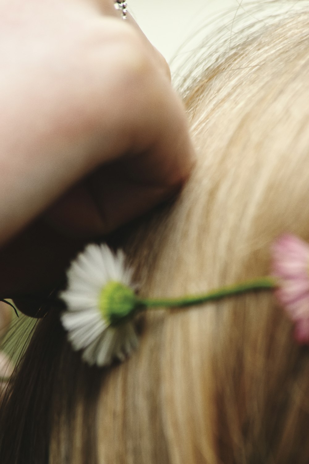 white and pink flower on brown wooden table