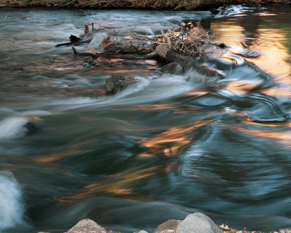brown and gray rocks on water