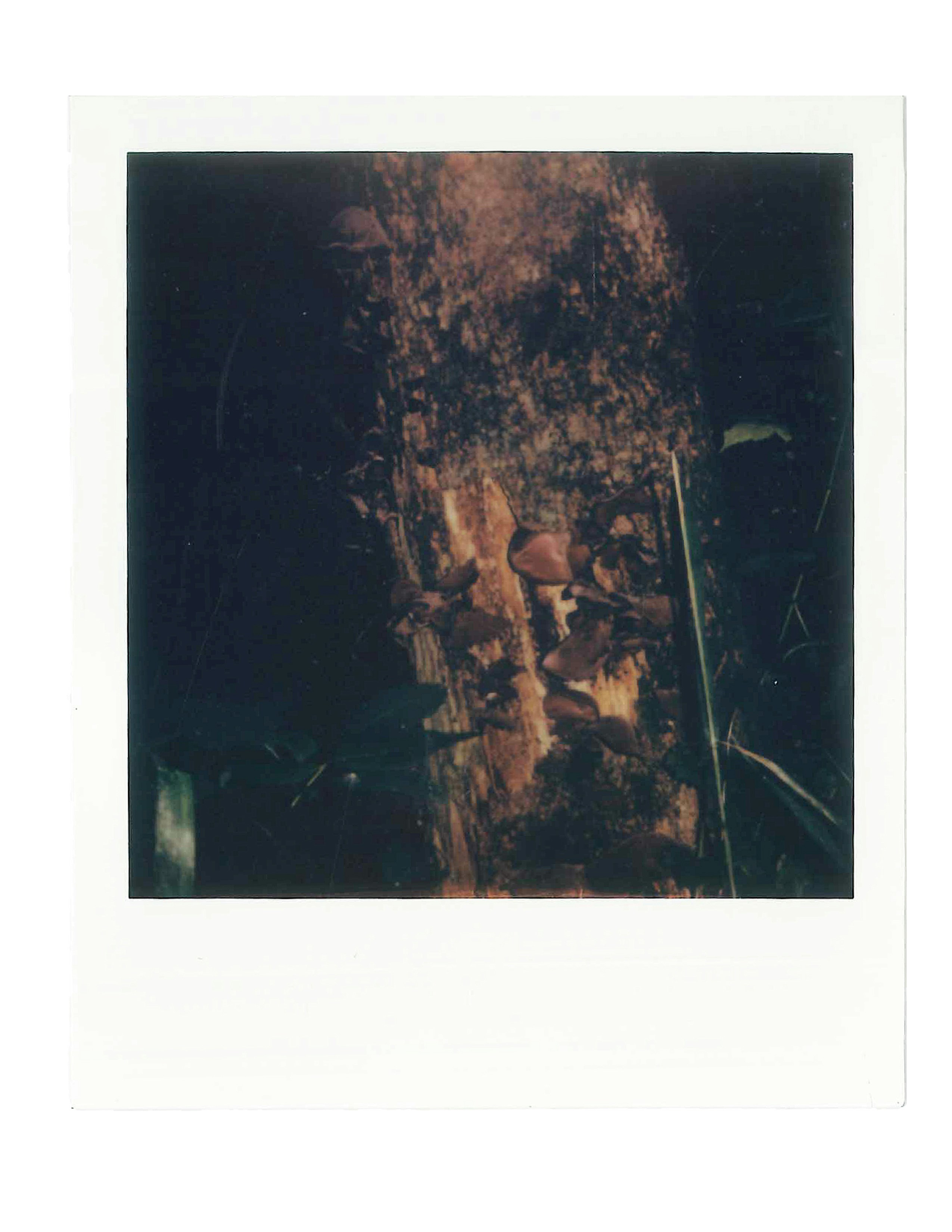 Photo by jimmie_moon22