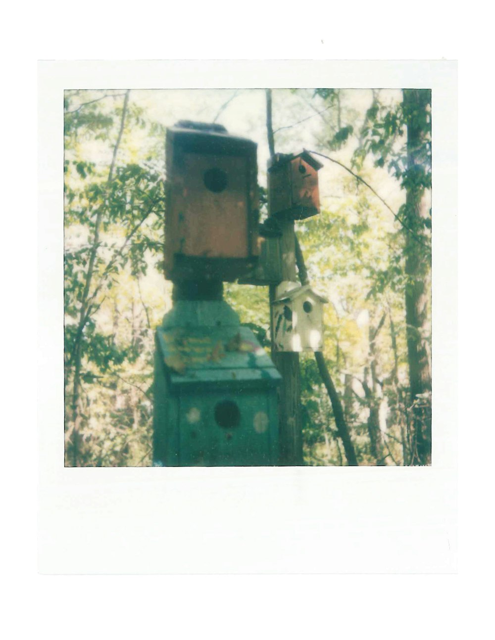 green and brown wooden birdhouse