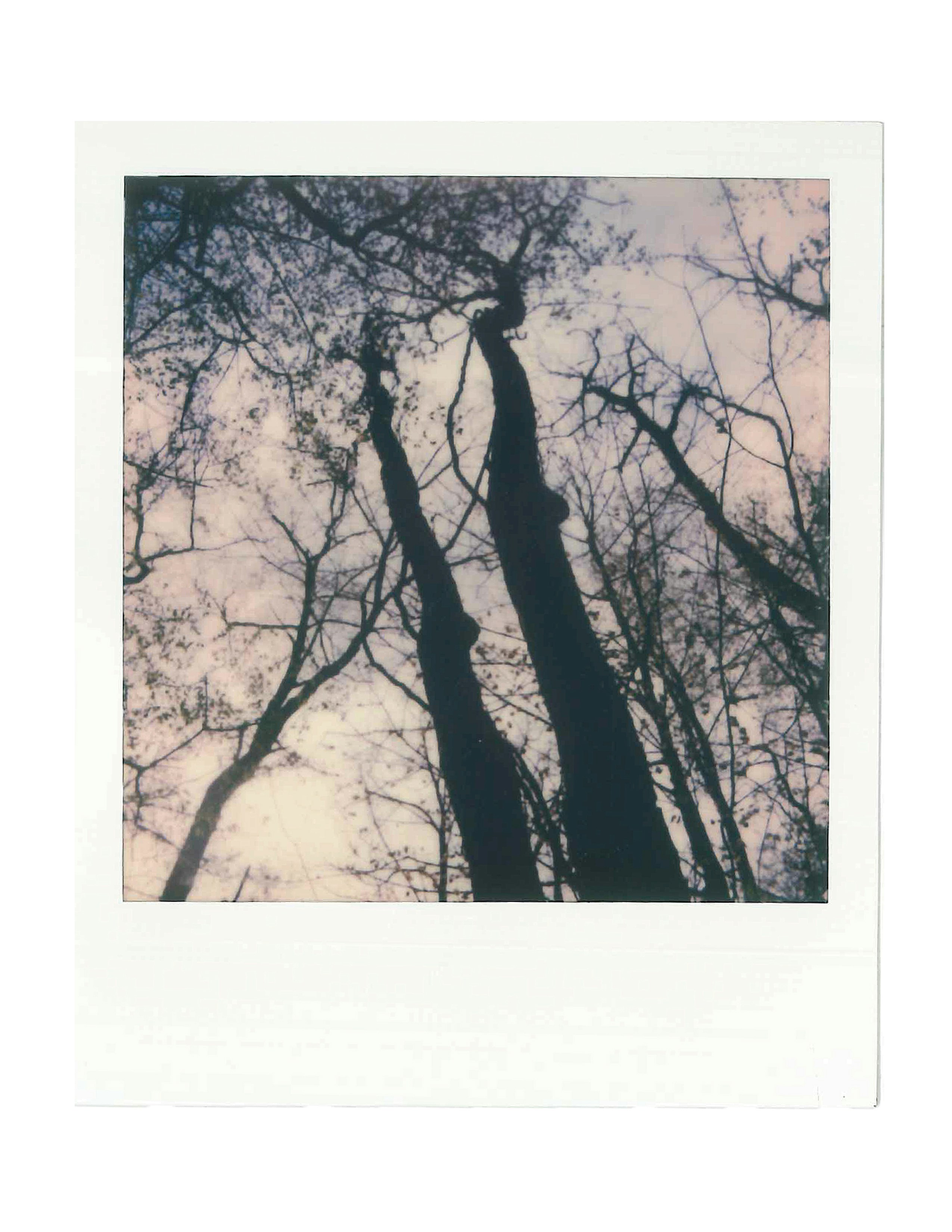 Photo by jimmie_moon22