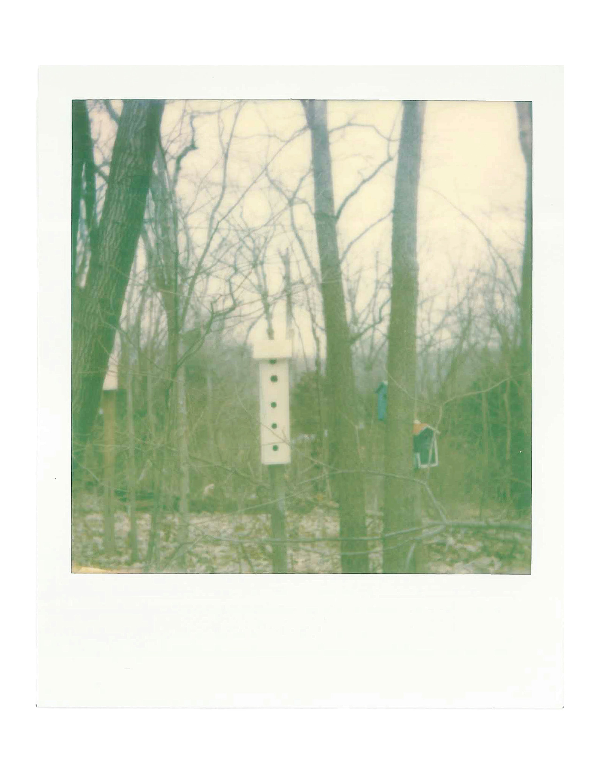 Photo by jimmie_moon22