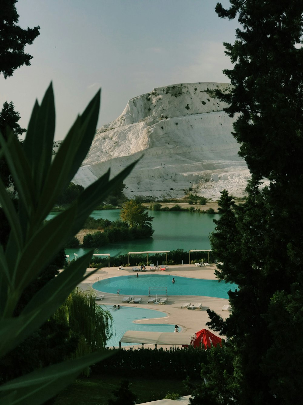 green trees near body of water during daytime