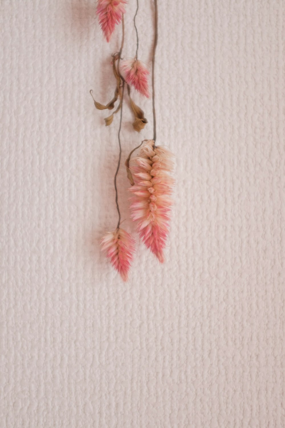 brown and white leaves on white wall