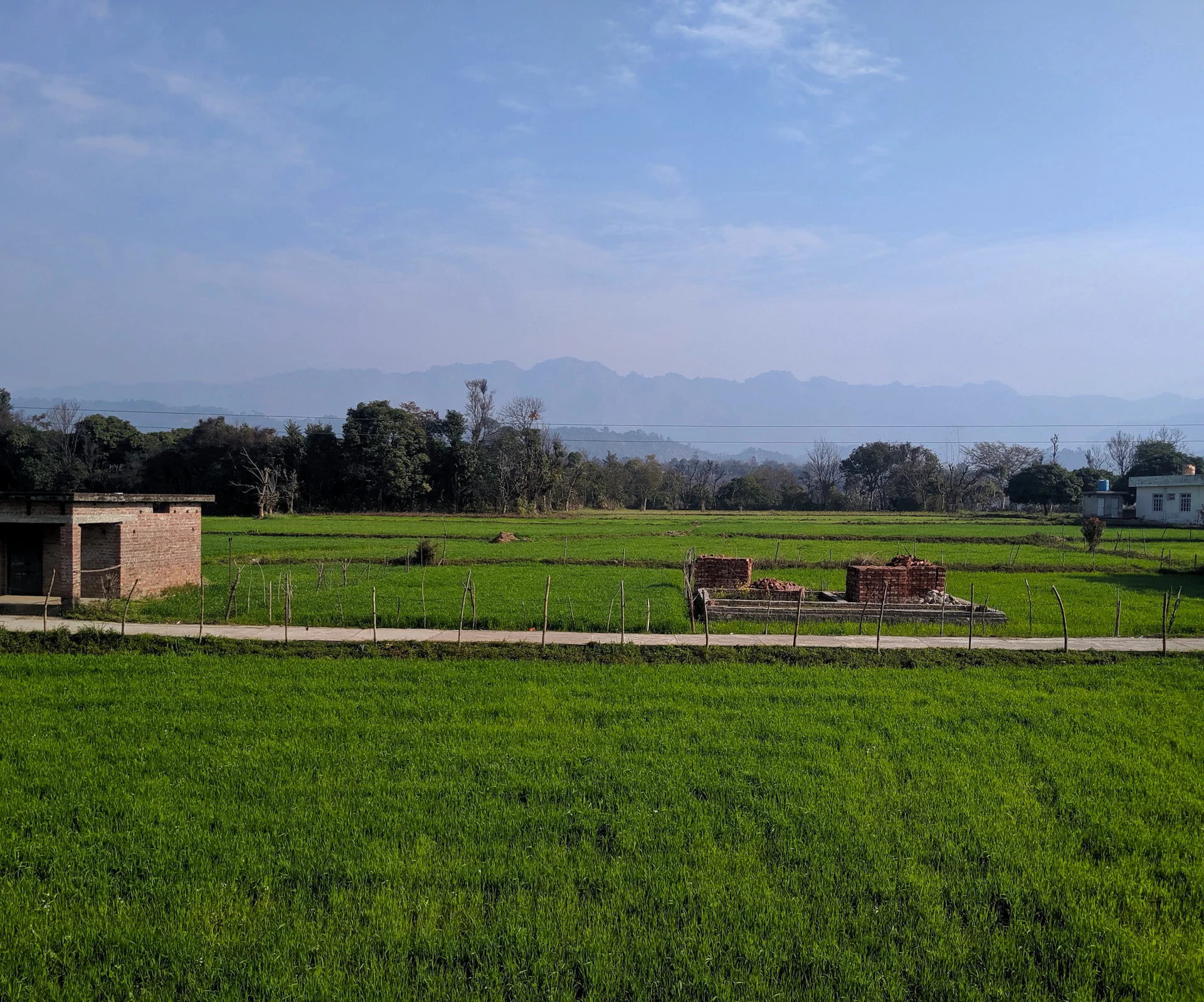 Dharamshala to Palampur by taxi
