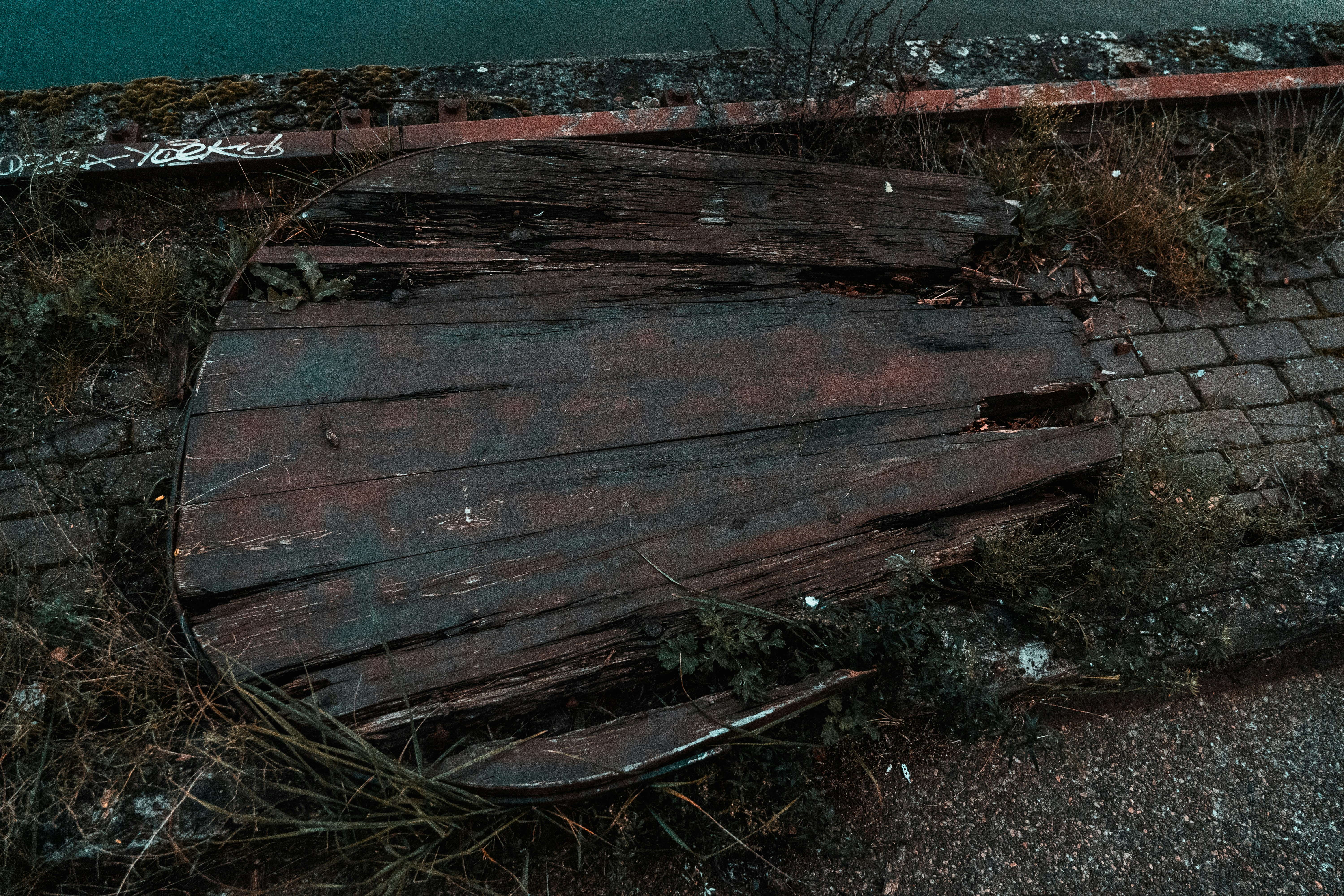 Photo by mitchelanneveldt