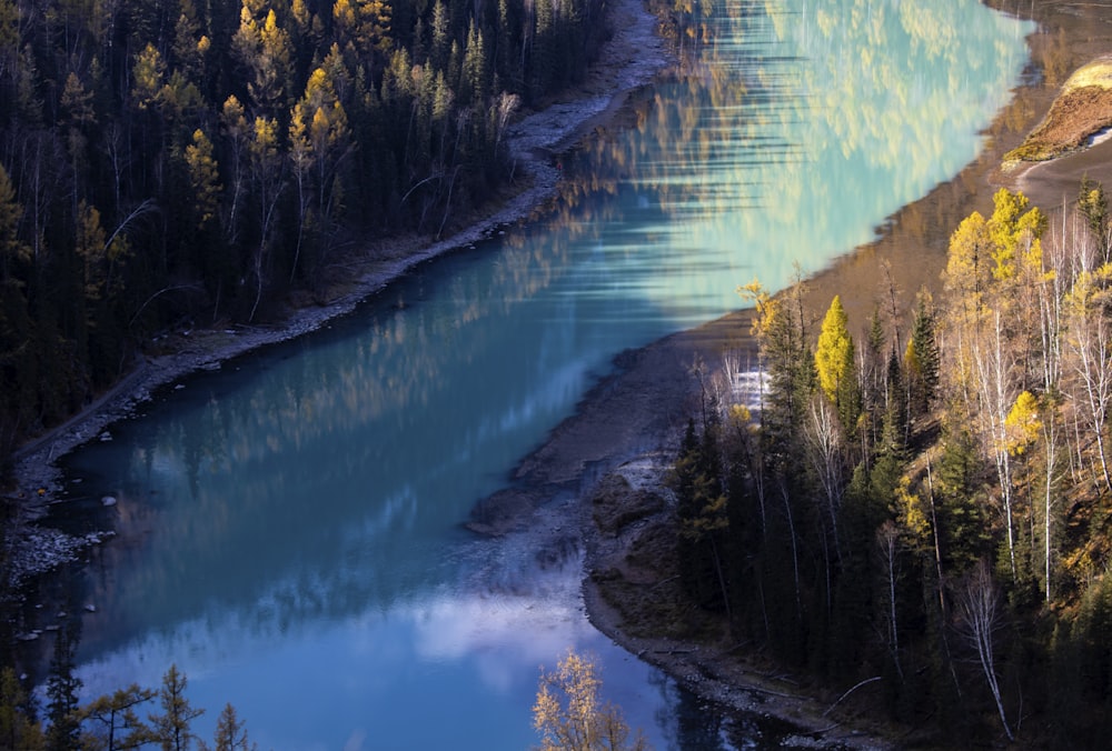 green trees beside blue lake