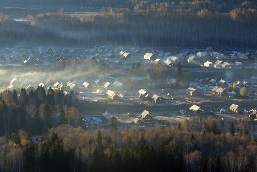 green trees and white snow covered field during daytime