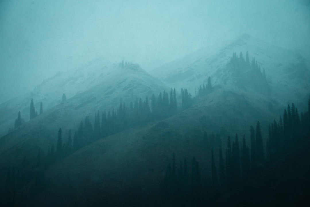 green trees on mountain under white sky during daytime