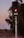 A railroad signal is prominently displayed with a red light illuminated, indicating a stop. The scene includes railway tracks that curve into the distance, bordered by trees and vegetation. The setting appears to be at dusk, with soft lighting and a serene atmosphere.