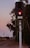 A railroad signal is prominently displayed with a red light illuminated, indicating a stop. The scene includes railway tracks that curve into the distance, bordered by trees and vegetation. The setting appears to be at dusk, with soft lighting and a serene atmosphere.