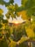 A warm, inviting winery vineyard at sunset with cinematic lighting highlighting the lush grapevines.
