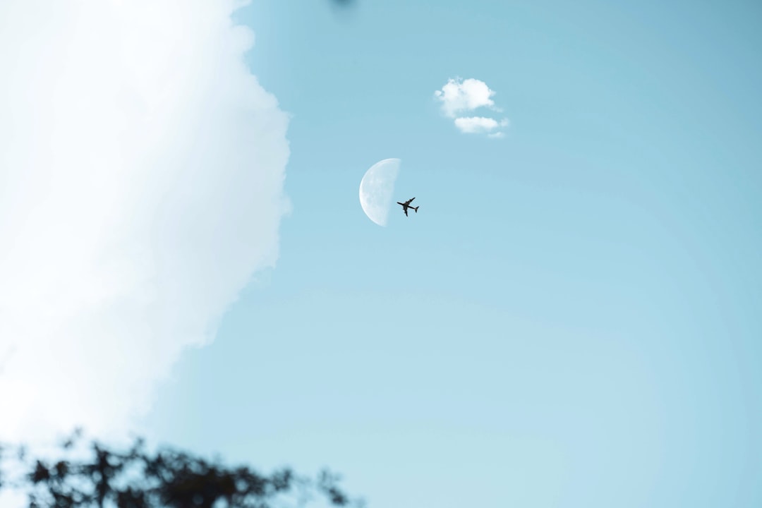 white bird flying on sky during daytime