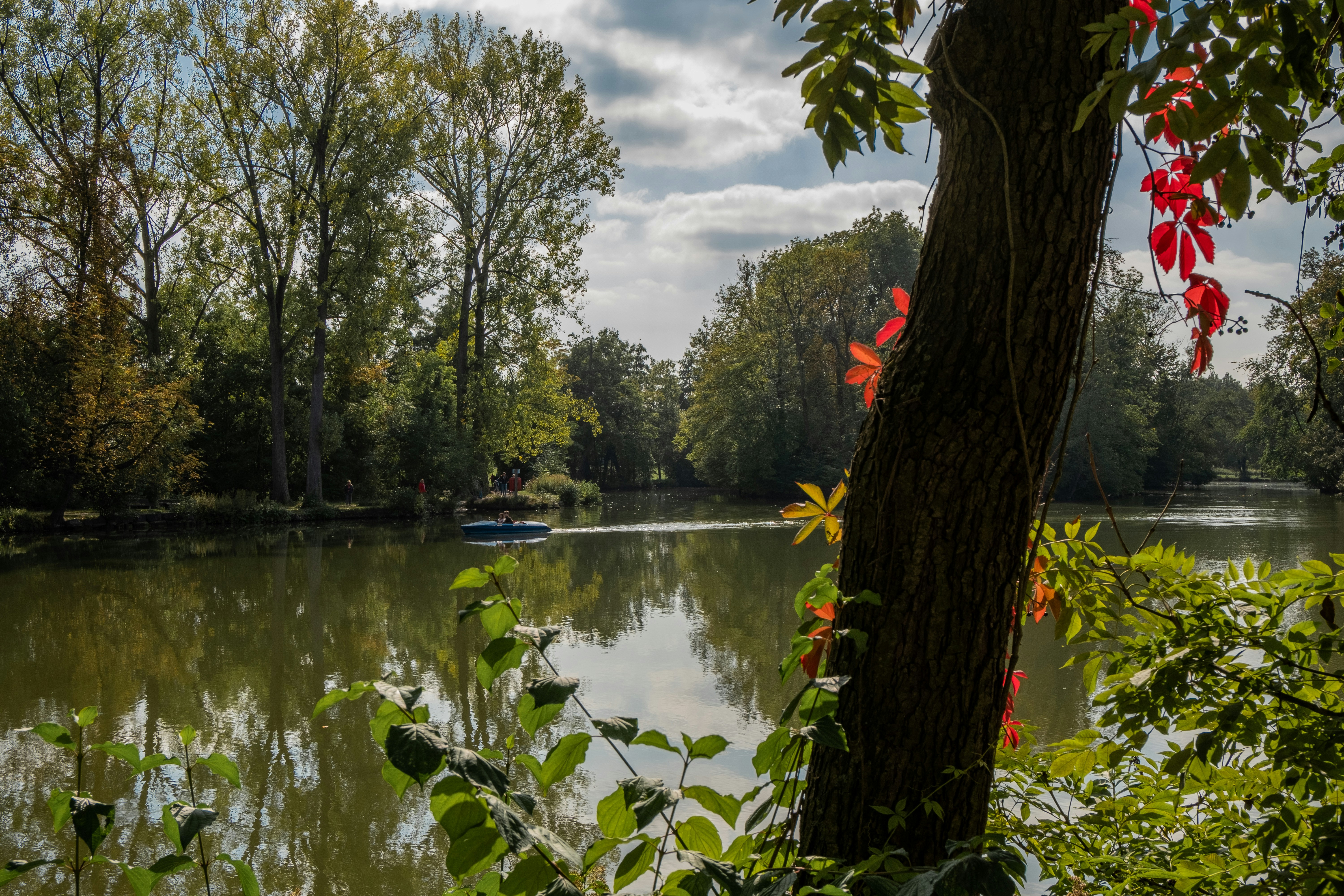 Photo by masselmello