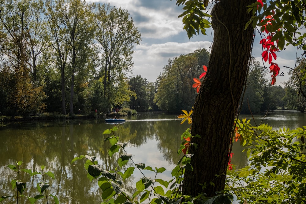 green trees beside lake under cloudy sky during daytime