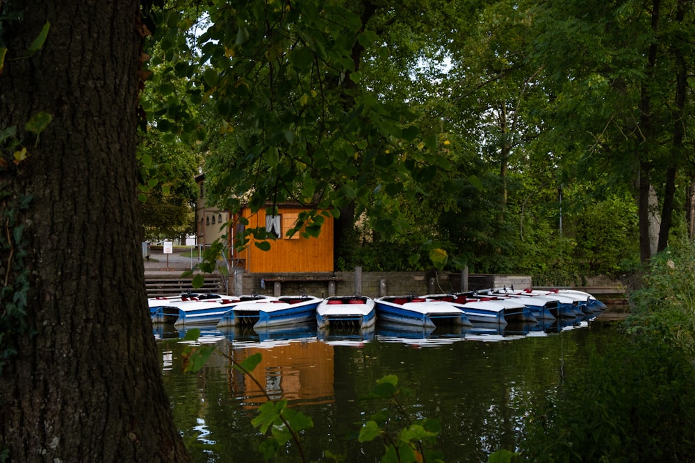 Barcos blancos y azules en el río durante el día