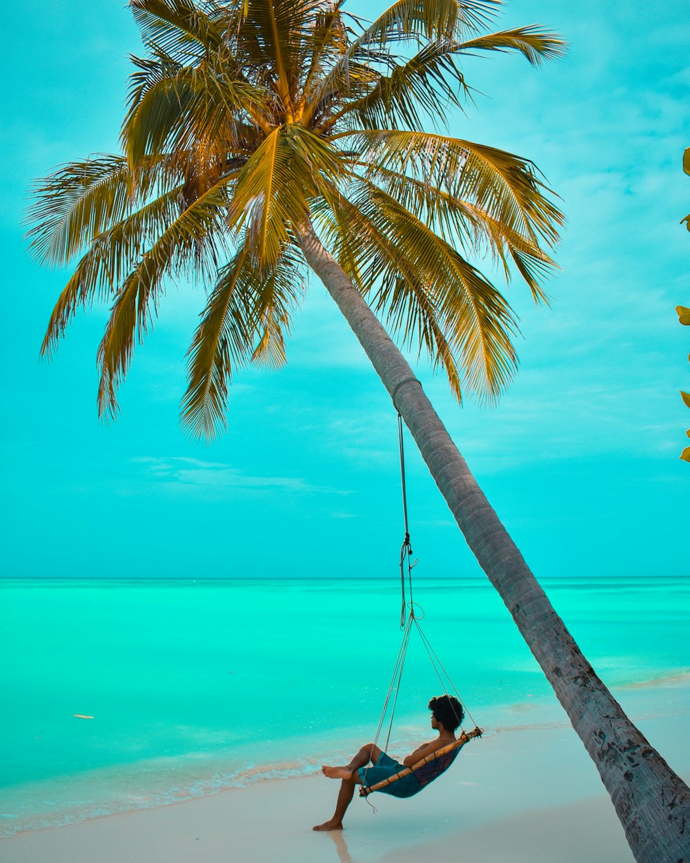 man sitting on hammock near beach during daytime