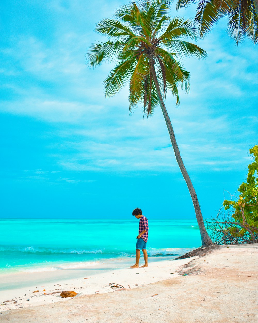 man in black shirt and blue shorts standing on beach shore during daytime