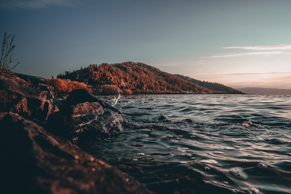 body of water near brown mountain during daytime