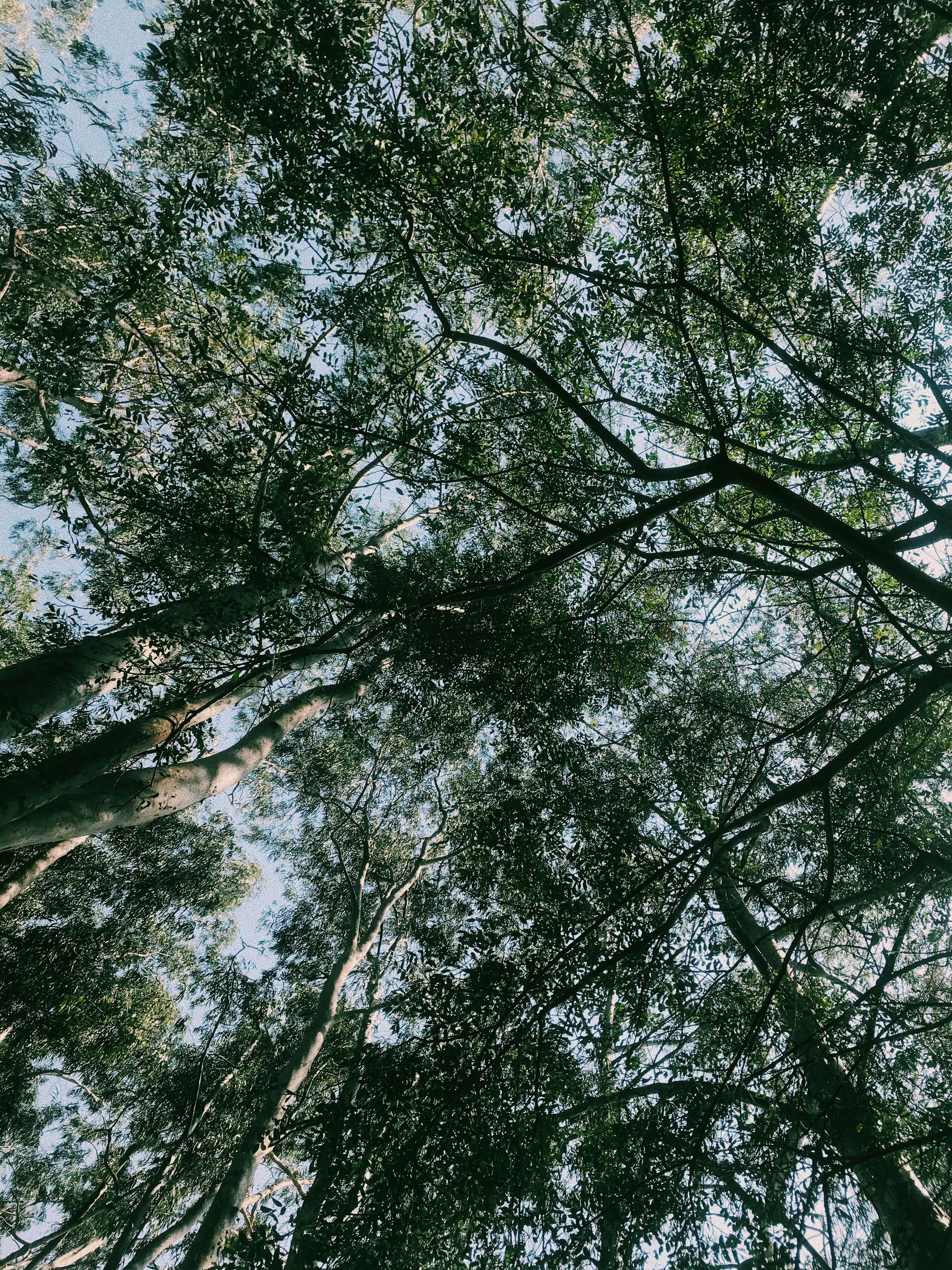 Photo by gabriellemeschini