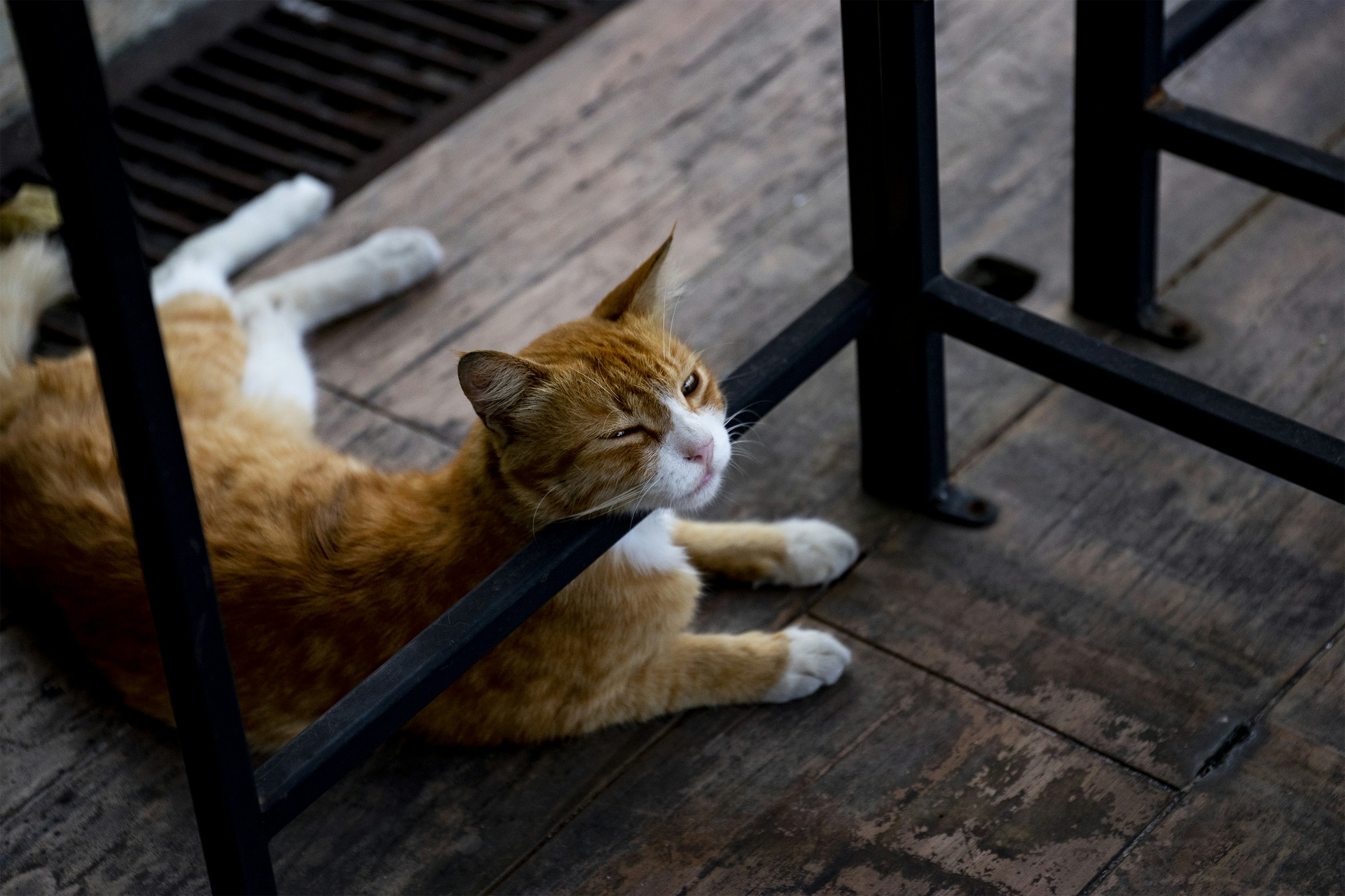 Photo by sunilcsharma