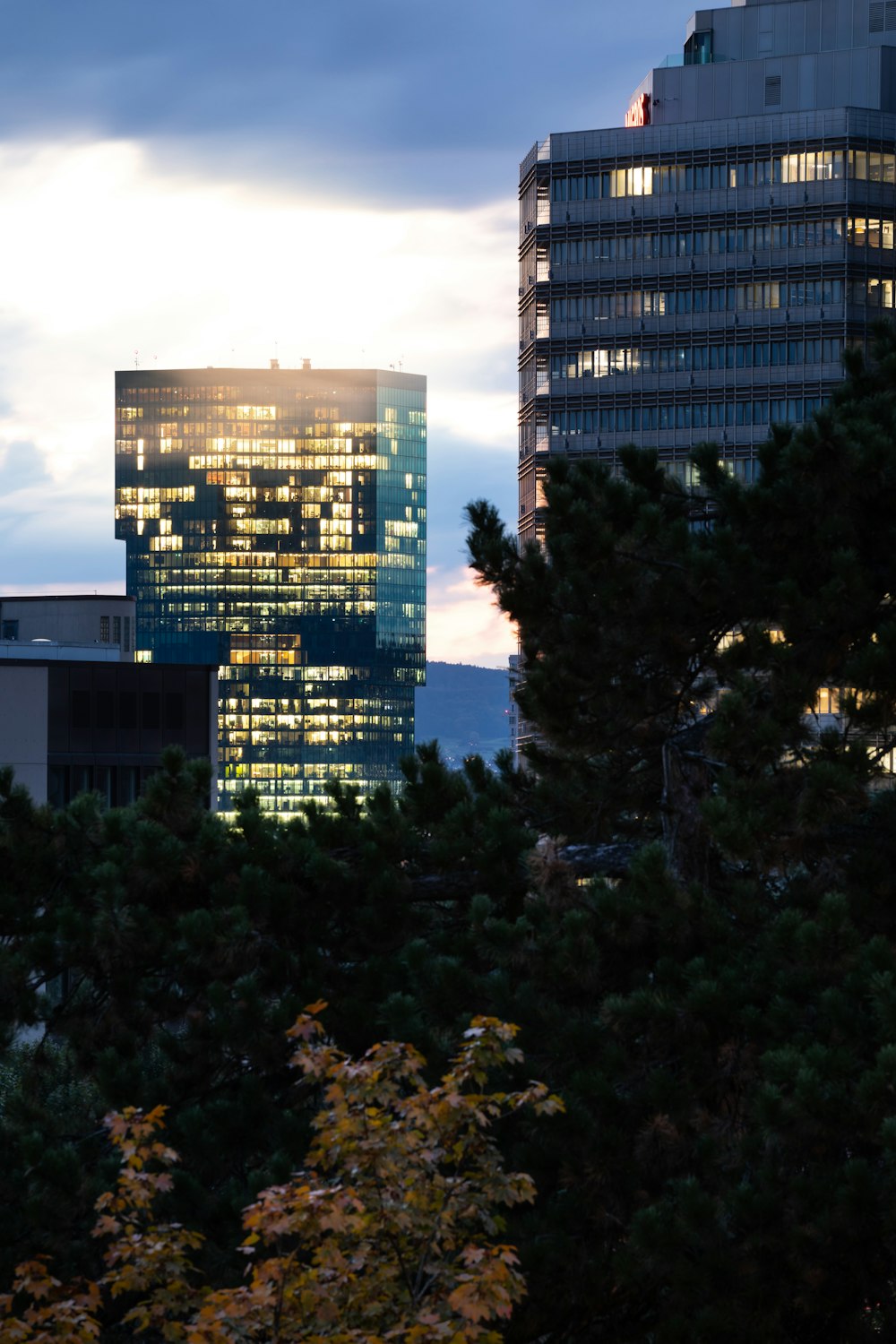 green trees near high rise building during daytime