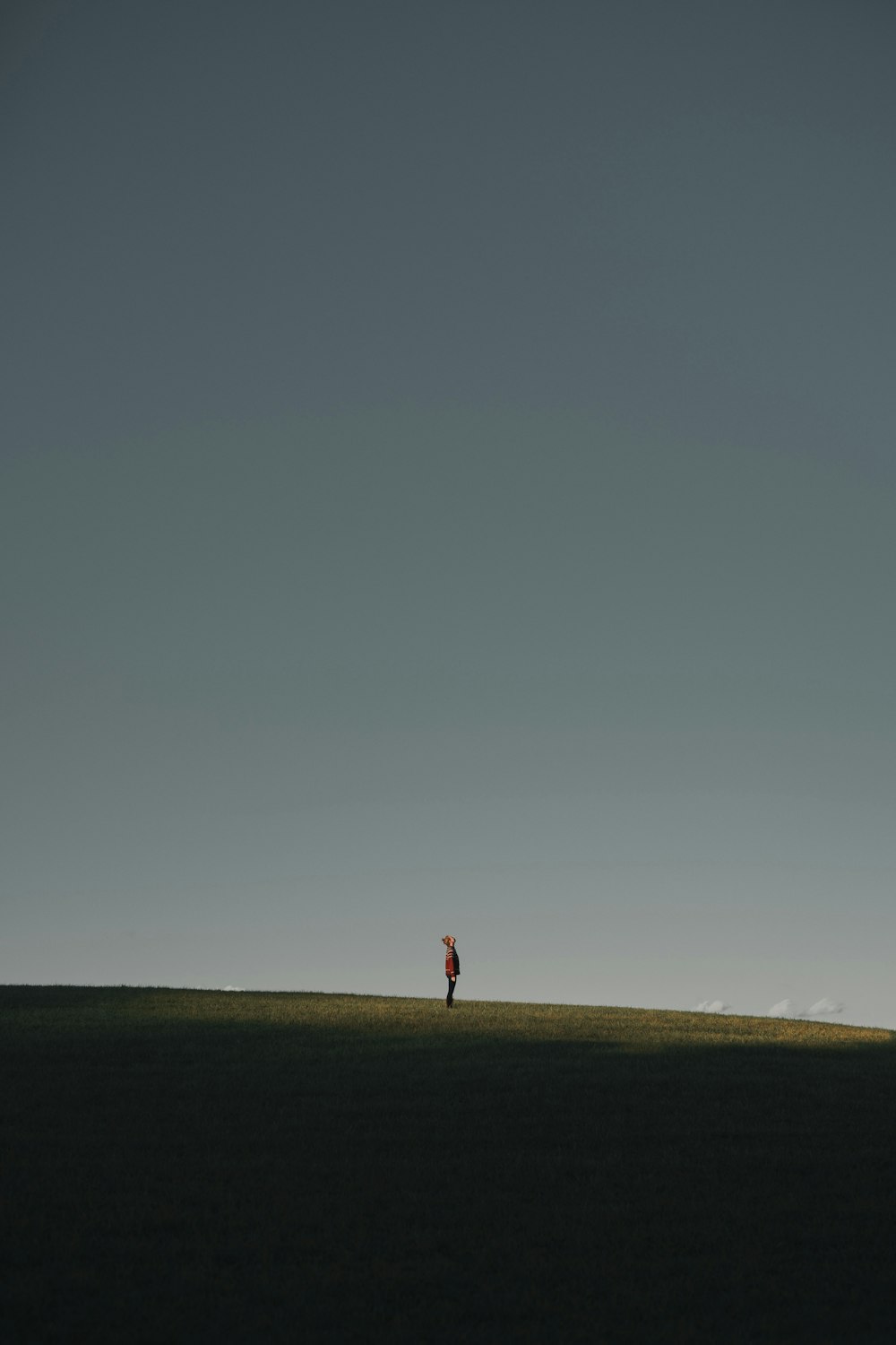 person in red shirt walking on brown field under gray sky during daytime