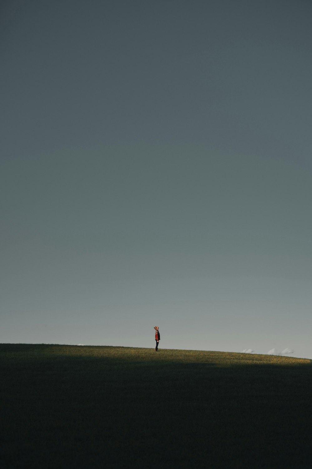 Persona con camisa roja caminando en el campo marrón bajo el cielo gris durante el día