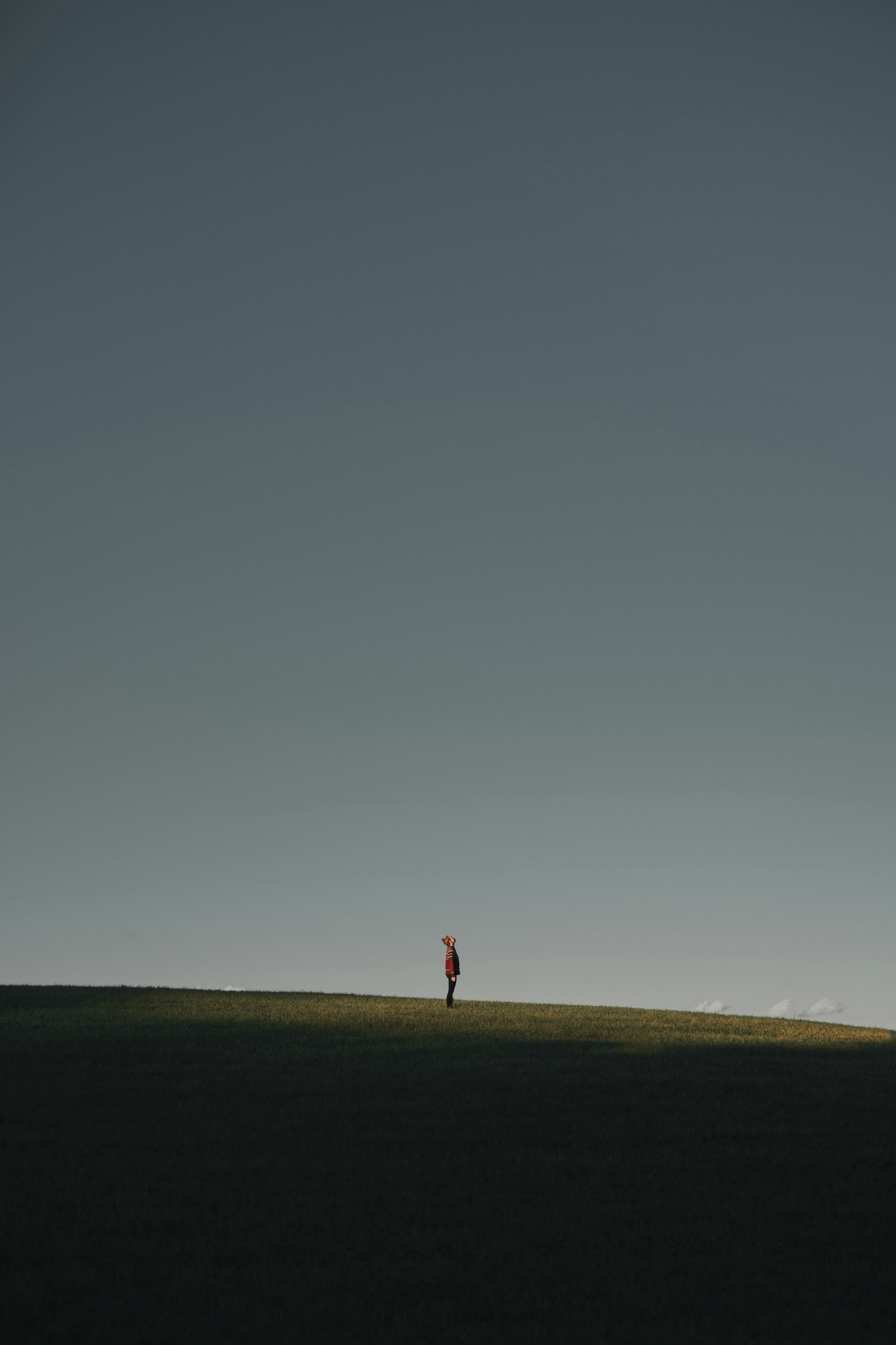 person in red shirt walking on brown field under gray sky during daytime